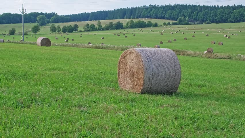 Agricultural Field with Hay Bale Rolls after Summer Harvest Season