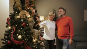 Elderly couple hugging each other near decorated christmas tree, celebrating christmas holidays together at home - Powered by Shutterstock - Get 15% off with code: PIKWIZARD15