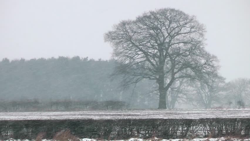 Countryside Winter Landscape