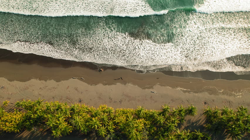 Aerial view of tropical Costa Rica beach with strong waves and lush palm trees