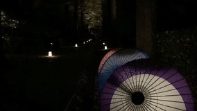 Oriental umbrellas, garden night scene, decorative lights, serene atmosphere, peaceful ambiance - Powered by Shutterstock - Get 15% off with code: PIKWIZARD15