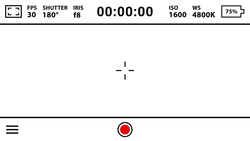 Cinema camera-like portrait recording screen with blinking REC and live timer on white background. Motion graphic UI overlay for a recording feel or video production scenes.