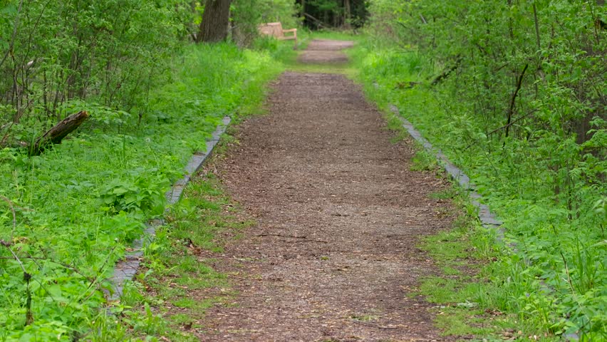 Scenic wildlife trail in Magee marsh wild life refuge in Ohio ,USA.