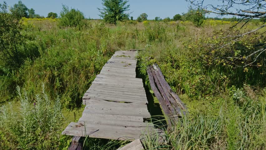 Old Wooden Footbridge Over Swampy Water In Meadow. Rustic Bridge In Rural Landscape, Abandoned Path Through Wilderness, Nature Trail In Summer Secluded Outdoor Scene. Countryside Path Remote Location