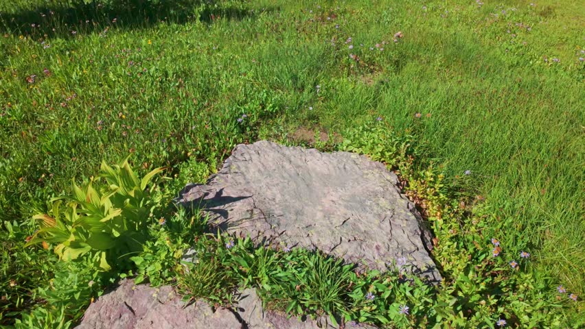 The turquoise, clear waters of Iceberg Lake are captured, showcasing the serene and beautiful body of water in Glacier National Park