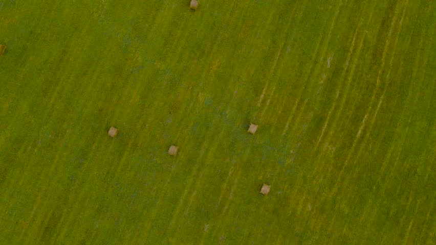 Top down aerial drone footage flying lower above freshly made silage wheat crop hay bale rolls or hay bales on a grassy green agricultural farm field land during a cloudy summer or autumn day.