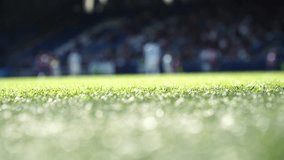 Green beautiful football grass, fresh soccer field turf, close up of green lawn, natural football pitch grass, vibrant soccer ground surface, healthy green grass on stadium field - Powered by Shutterstock - Get 15% off with code: PIKWIZARD15