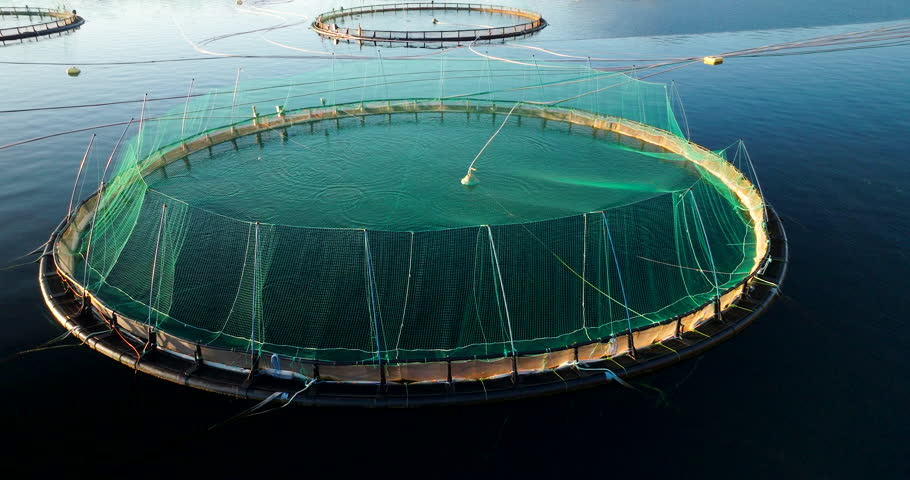 Salmon farm with circular cages, fish swim in pens. Gratangen, Norway