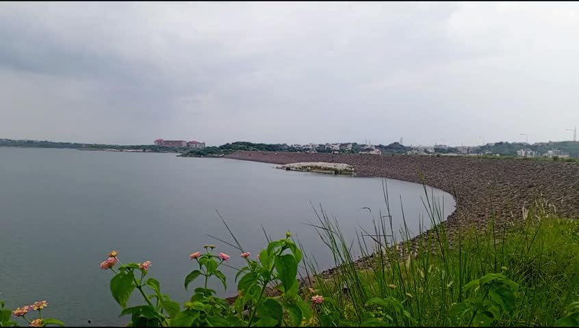 Serene lake with calm waters meets rocky shore lined with tall grasses. Buildings peek through trees on distant hills under a cloudy sky. Peaceful landscape blends nature and subtle urban presence in 