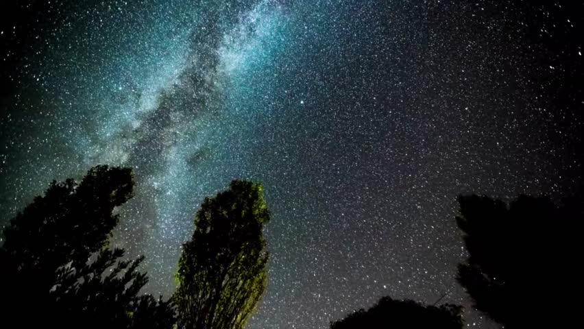 Beautiful galactic night sky stars shining above dark trees seamless loop background