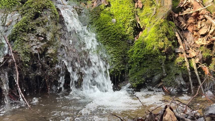 small waterfall in the forest with moss stones