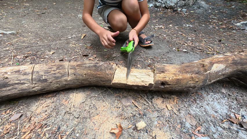 Close-up of child using a folding saw to cut a large branch outdoors. Sawing wood for camping, survival, or bushcraft activity in the forest