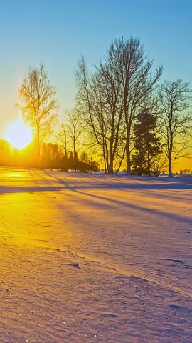 Sunset timelapse with vivid orange shadows cast by leafless trees on snow covered ground, vertical