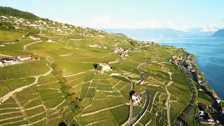 Aerial view of terraced vineyards cascading towards the tranquil, azure waters of Lake Geneva, painting a scene of serene beauty, Lutry, Vaud, Switzerland.