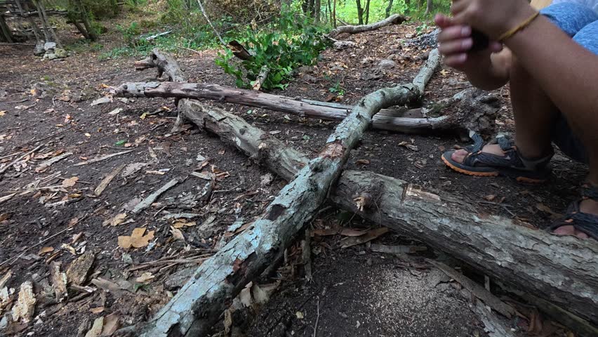 Child using a machete to cut fallen tree branches in the forest. Outdoor survival activity and bushcraft training