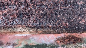 Macro closeup of dried moss covering the rough surface of an old clay roof tile. - Powered by Shutterstock - Get 15% off with code: PIKWIZARD15