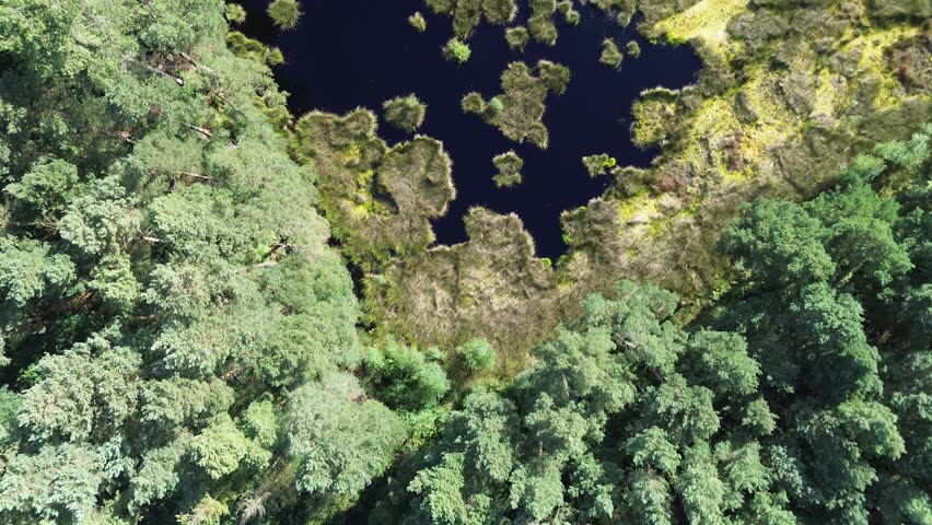 Drone footage of Cheshire countryside with Delamere Forest greenery.