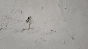 A close-up video of a white wall with peeling paint and visible damage from mold or age. This footage captures the decay and neglect of a surface over time. - Powered by Shutterstock - Get 15% off with code: PIKWIZARD15