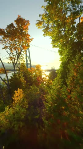 Flight by FPV drone near the Lions Gate Bridge at dawn. Canada