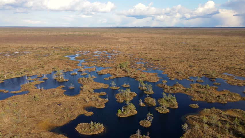 Drone captures Yelnya bog in Belarus, showing wetlands, lakes, channels, and forest islands under a partly cloudy sky with steady forward motion.