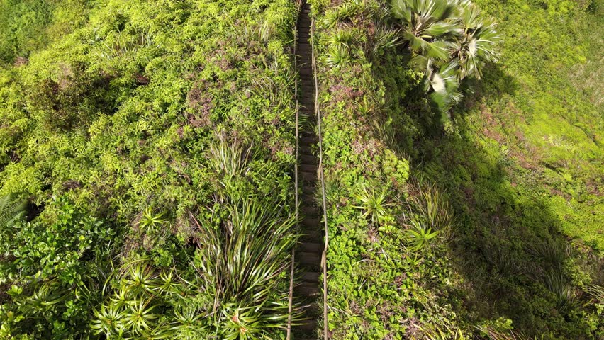 Aerial footage of Oahu's Stairway to Heaven shows the dramatic ridge, lush mountains, and iconic Haiku Stairs rising into the clouds.