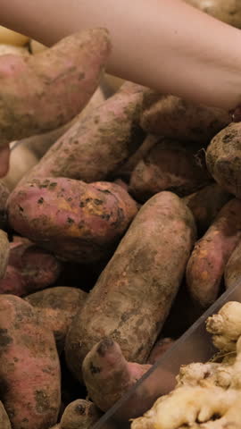 Vertical video. Close-up of woman choosing sweet potatoes among organic vegetables in the store, slow motion 