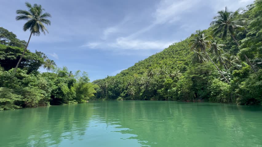 Scenic cruise along the green waters of the Loboc River in Bohol, surrounded by dense coconut forest. A peaceful tropical escape in the heart of the Philippines.