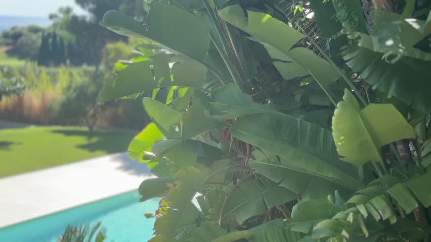 Mediterranean garden with a swimming pool, beautiful elite sea view villa garden design, hotel, vacations. Real estate, renting villa, private property for rent, sale concept. Slow motion 