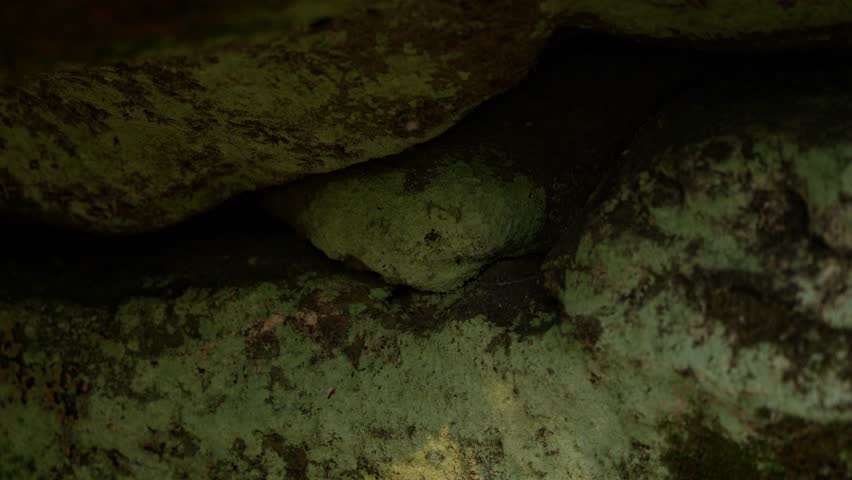 A natural backdrop, a journey into the depths of nature. A close-up of a stone that looks as if it