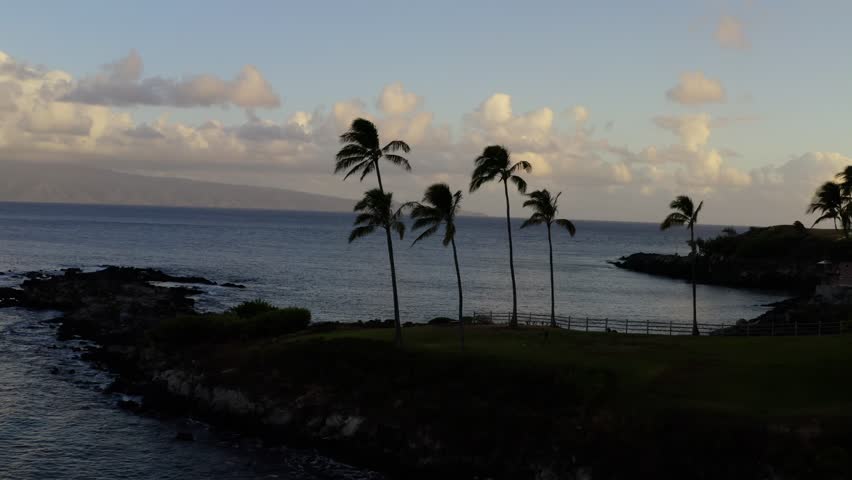 Sunrise in Kapalua Bay, Maui, Hawaii. Flying past palm trees with epic clouds in background.