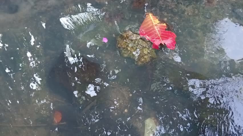 gentle flowing water in the dry season
