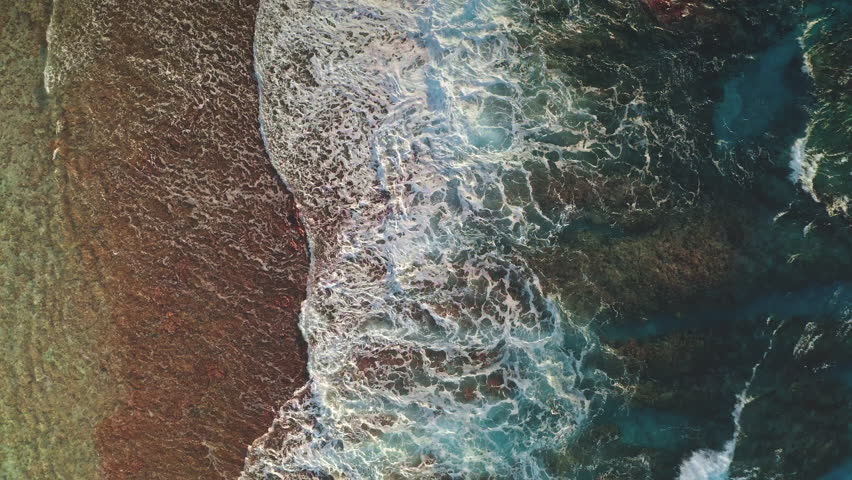 French Polynesia, Rangiroa island: Aerial view of ocean waves crashing on the shore, creating a mesmerizing display of turquoise water and white foam. Drone static shot top down of dynamic movement