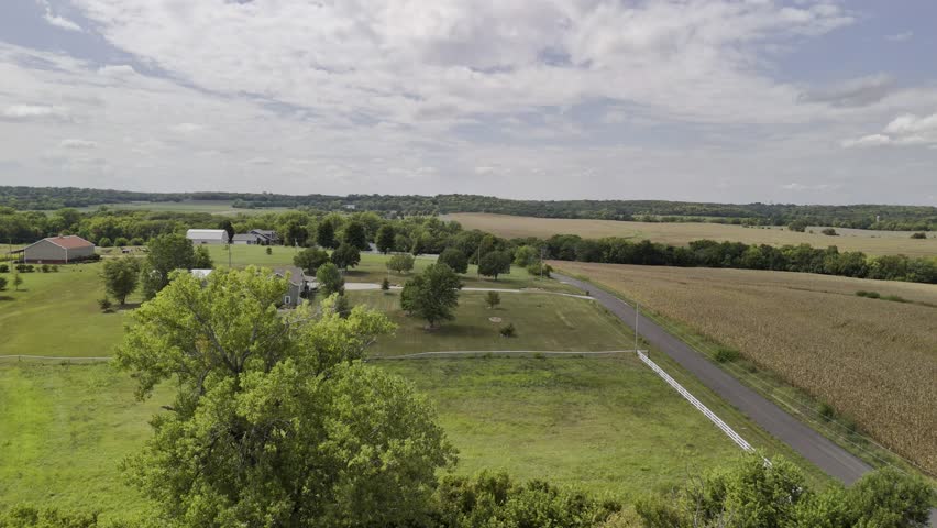 Kansas the Sunflower State - The Beautiful Sunflower Blooms Do Not Last Long - Special Sunflower Fields Bring Joy to Residents of Douglas County, KS