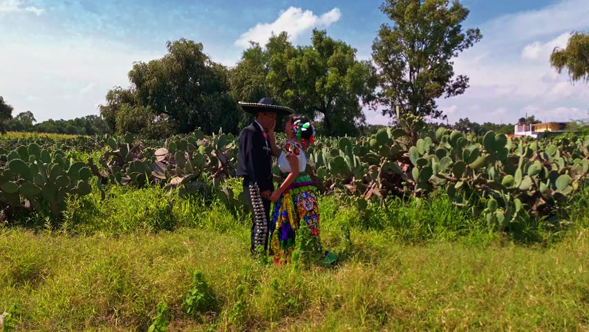 Mexican couple in traditional charro and folkloric dress walking among nopales