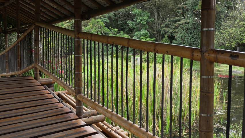 Bamboo walkway by a reed pond at Bogota Botanical Garden, lush greenery and reflections, slow handheld move