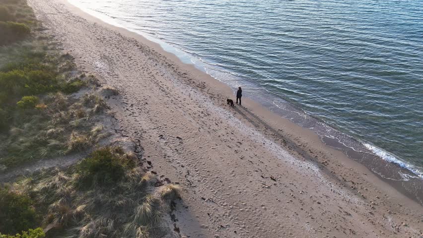A woman and her dog walk together on a sandy shoreline beside calm ocean waters