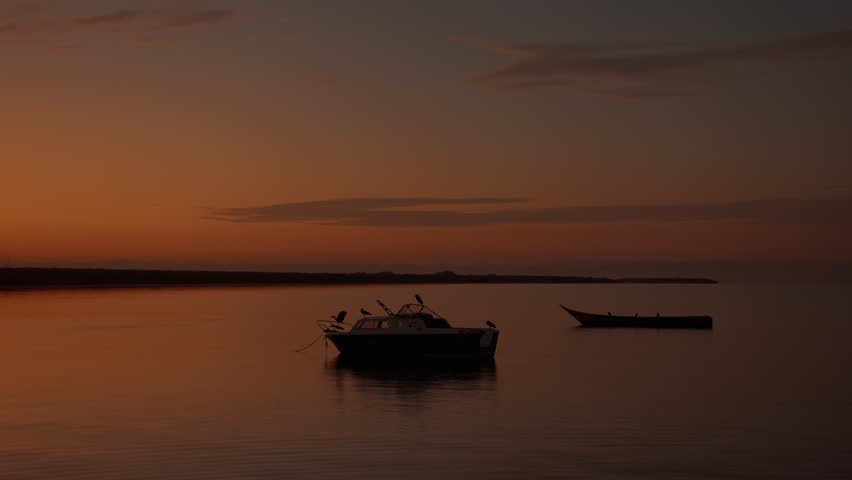 Lonely fishing boats on calm surface of lake and large birds perch on stern and bow against backdrop of stunning sunset. Slow motion