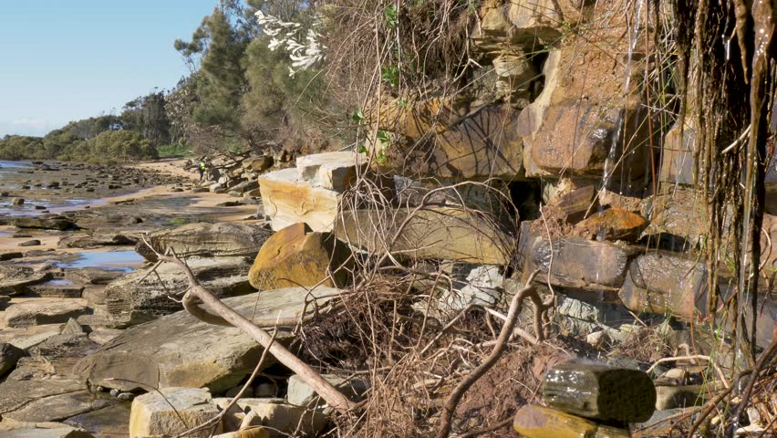 Slow motion landscape of water dripping down a rocky embankment from creek stream surrounded by tree branches and debris in a national park bushland forest hiking trail Central Coast Australia travel