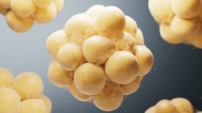 Biomedical microscopic fat cells structure, 3d rendering. Motion graphic. - Powered by Shutterstock - Get 15% off with code: PIKWIZARD15