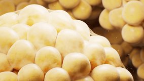 Biomedical microscopic fat cells structure, 3d rendering. Motion graphic. - Powered by Shutterstock - Get 15% off with code: PIKWIZARD15