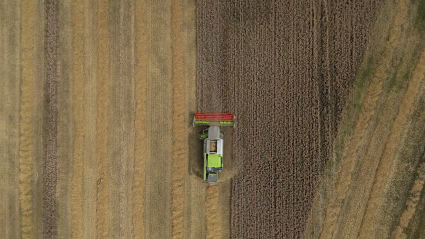 Top down countryside farmland aerial drone footage of wheat harvest with combine harvester and tractor tilling soil Leicester England UK agriculture