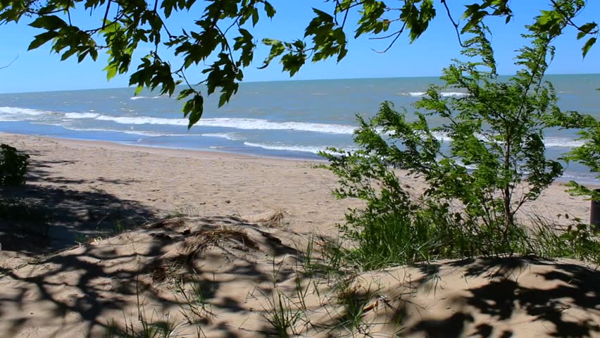 Lake Michigan waves crash on sandy beach, framed by sand dune and leafy branches. Indiana Dunes National Park, USA