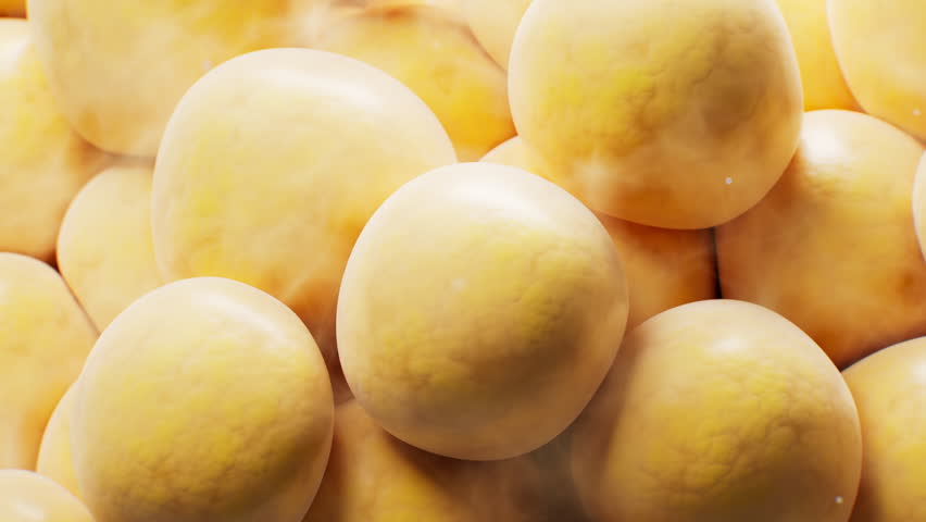 Biomedical microscopic fat cells structure, 3d rendering. Motion graphic.