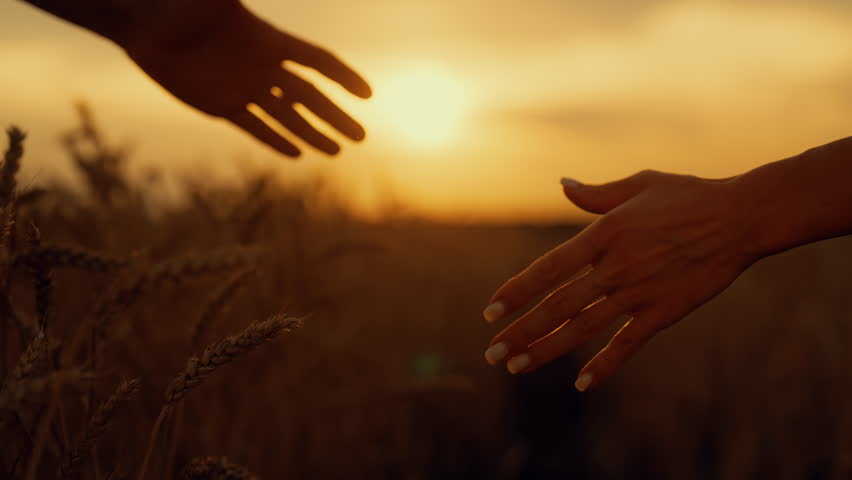 Teamwork and business deal, man and woman shaking hands, successful negotiation. Closeup view of people arms against beautiful rural scenery, slow motion, make agreement and cooperation, grain deal