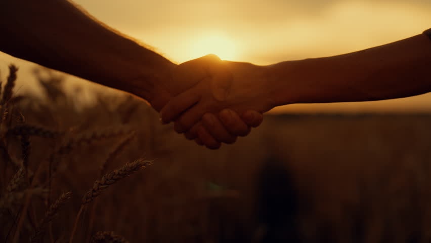 Teamwork and business deal, man and woman shaking hands, successful negotiation. Closeup view of people arms against beautiful rural scenery, slow motion, make agreement and cooperation, grain deal