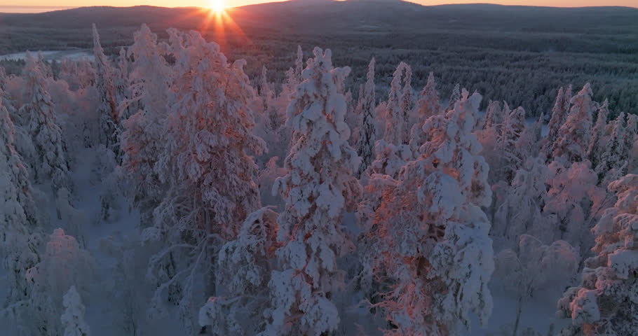 AERIAL: Beautiful sunrise scenery above frosty trees and arctic mountains