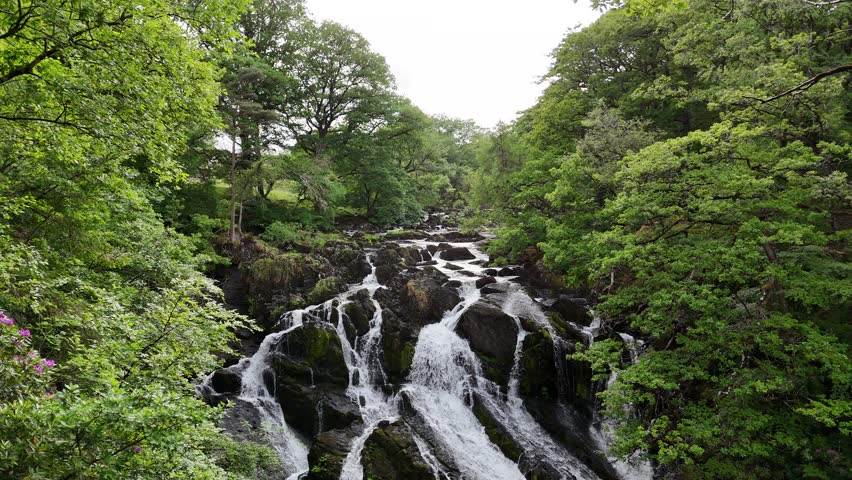 Aerial view of Swallow Falls cascading down mossy rocks, framed by the lush green canopy of surrounding trees, Betws-y-Coed, Wales, United Kingdom.