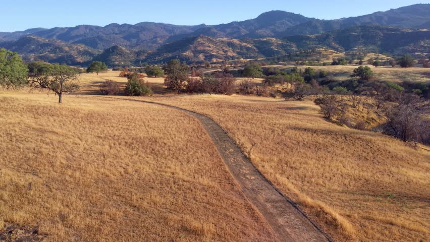 A beautiful low-altitude drone flight along a winding dirt road through the golden, rolling hills of a California ranch during a warm, sunny evening.