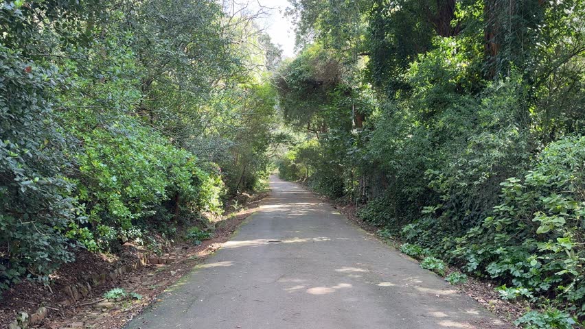 A desolate rural road in the mountains of Cape Town, South Africa.