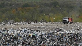 A truck driving through a landfill with a pile of garbage in the foreground. Birds fly over a waste dump. Environmental pollution and garbage disposal. The concept of an environmental disaster. - Powered by Shutterstock - Get 15% off with code: PIKWIZARD15